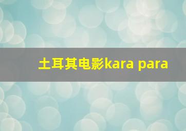 土耳其电影kara para